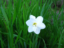 IMG 4777.JPG