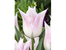 30,03���. ������� ���� ����(��� 7 ��. ���������� ������ 3 ��� 4 ��.)���16.jpg