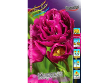 23,18���. ������� �������(��� 10 ��. ���������� ������ 5��.).jpg