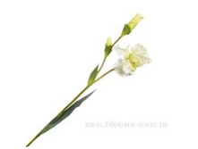 3661864002431 ������ ������������� ����, 110c� 72 742,9.jpg