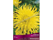 �������� �������������� ������������.jpg