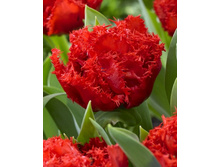 49,16���. ������� ������(�������� ���� �� 5 ��., ����������� ����� 1��.)���16.jpg