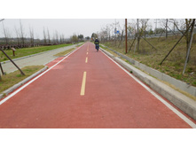 DSCN0513.JPG
