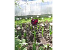 �����. ������ �����. �� ���������!