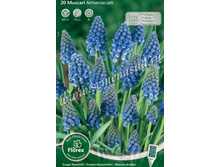 ������� ���������.jpg