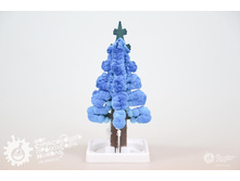 �������� ������ �����.jpg