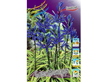 15,69���. �������� ��� ������(��� 10 ��. ���������� ������ 5��.).jpg