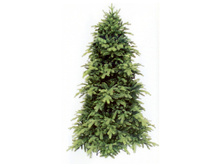 ������ ����� ���������  �������