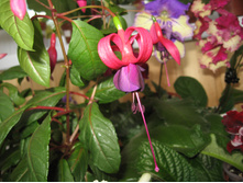 ������ ��������� 03.05.16�.