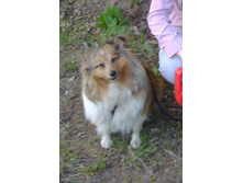 IMG 20160511 192003.jpg