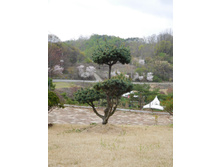 DSCN0565.JPG