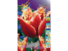 20,37���. ������� ������(��� 10 ��. ���������� ������ 5��.).jpg