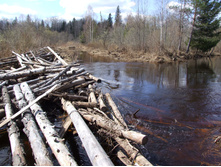 �.����. ����.