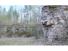 IMG 20160430 162119.jpg