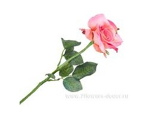 3760169245793 ������ ������������� ���� Brenda, 57�� 144 258,75.jpg