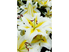 31,06���. ����� ���-�����(��� 5 ��. ���������� ������ 2 ��� 3 ��.)���15.jpg