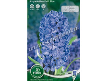 ������� ����� ���.jpg