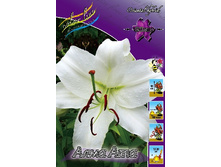 21,2���. ����� ���� ���(��� 10 ��. ���������� ������ 5��.).jpg