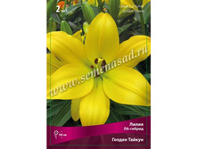 ����� ������ ������.jpg