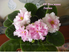 �� �������� �����