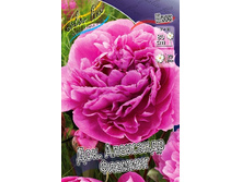 174,6���. ���� �-� ��������� �������(�������� ���� �� 1 ��., ����������� ����� 1��.).jpg