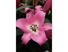 25,69���. ����� ���������(��� 10 ��. ���������� ������ 5��.).jpg