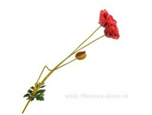 4606500502028 ������ ������������� ���, 76 �� 144 238,05.jpg