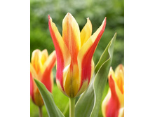 15,69���. ������� ����(��� 10 ��. ���������� ������ 5��.).jpg