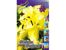 82,86���. ����� ����� �����(�������� ���� �� 5 ��., ����������� ����� 1��.).jpg