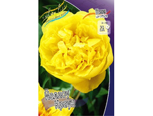 1196,6���. ���� ������ ����� (���)(�������� ���� �� 1 ��., ����������� ����� 1��.).jpg