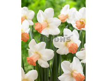 23,18���. ������� �����(��� 10 ��. ���������� ������ 5��.)���16.jpg