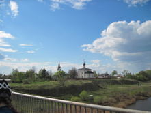 IMG 7950.JPG