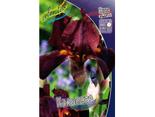 91,55���. ���� ���������� ��������(�������� ���� �� 2 ��., ����������� ����� 1��.).jpg