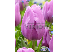 15,31���. ������� �����(��� 10 ��. ���������� ������ 5��.)���16.jpg