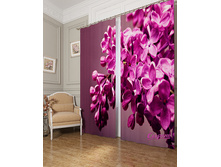 03573 "�������� ������"