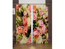 04479 ��������� "����� ����������� ���"