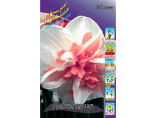 20,37���. ������� ��������(��� 10 ��. ���������� ������ 5��.).jpg