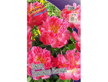 250,7���. ���� ���� ������� �����(�������� ���� �� 1 ��., ����������� ����� 1��.).jpg