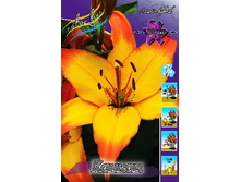 28���. ����� ������(��� 5 ��. ���������� ������ 2 ��� 3 ��.).jpg