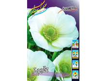 5,15���. ������� �����(���������� ������ ������ ���������� �� 15 ��.).jpg