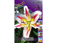 39,7���. ����� �����(��� 5 ��. ���������� ������ 2 ��� 3 ��.).jpg