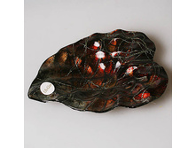 ����� Lil 1280-8 305�.jpg