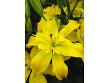 52,28���. ����� ����������(�������� ���� �� 5 ��., ����������� ����� 1��.)���16.jpg