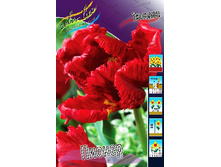 18,5���. ������� ������(��� 10 ��. ���������� ������ 5��.).jpg