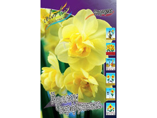 17,56���. ������� ������ ����������(��� 10 ��. ���������� ������ 5��.).jpg