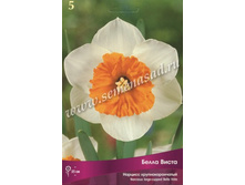 ������� ����� �����.jpg