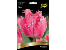 ������� ��������.jpg