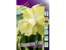 49,16���. ������� �������� ����(�������� ���� �� 5 ��., ����������� ����� 1��.).jpg