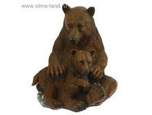 ��������� � �����������