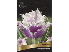 ������� �������.jpg